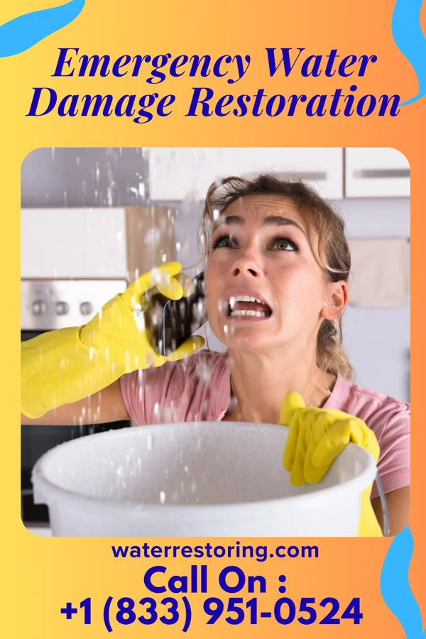 Emergency Water Damage Restoration in Arlington, WI