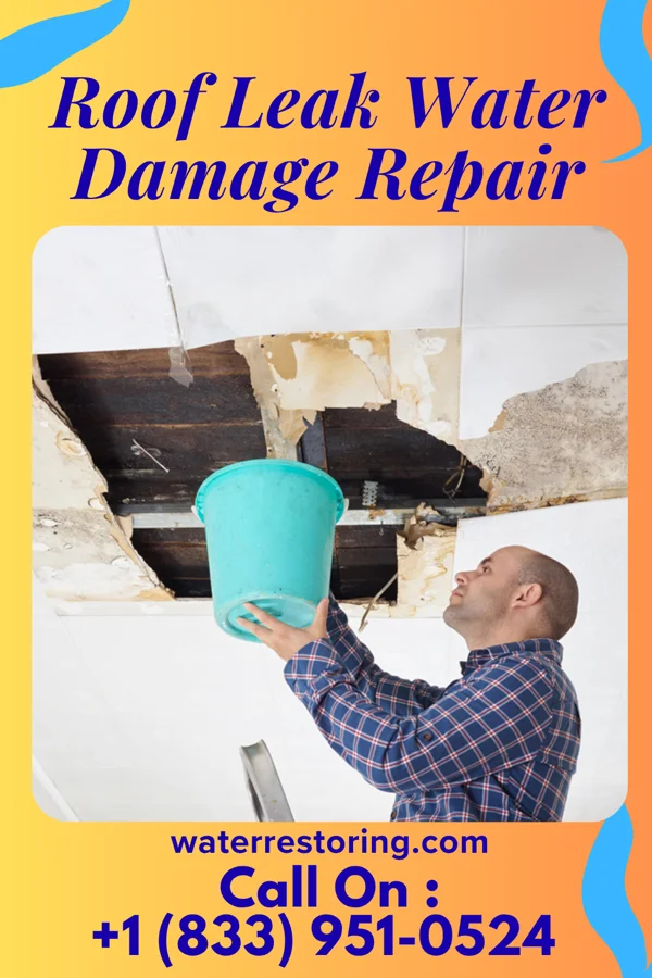 Roof Leak Water Damage Repair in Arlington, WI