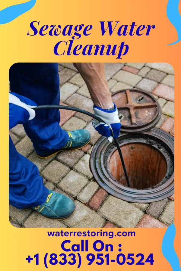 Sewage Water Cleanup in Arlington, WI